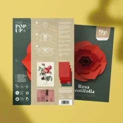 Pop up de flores de papel 3D