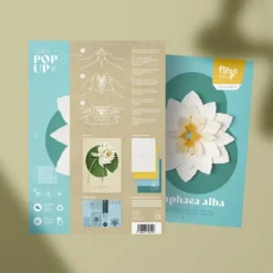 Pop up de flores de papel 3D