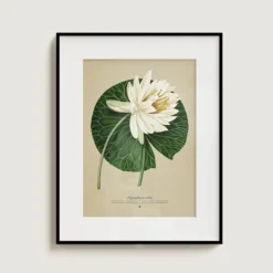 Pop up de flores de papel 3D