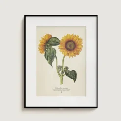 Pop up de flores de papel 3D