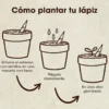 Set de 5 lápices plantables