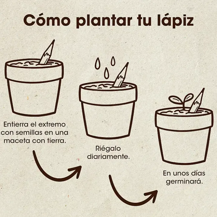 Set de 5 lápices plantables
