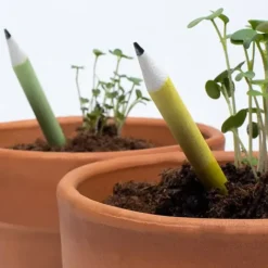 Set de 5 lápices plantables