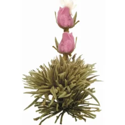 Set de regalo con tetera y 6 variedades de flores de té blanco