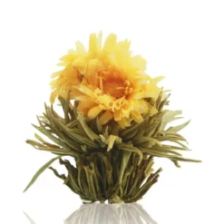 Set de regalo con tetera y 6 variedades de flores de té blanco