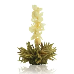 Set de regalo con tetera y 6 variedades de flores de té blanco