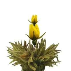 Set de regalo con tetera y 6 variedades de flores de té blanco