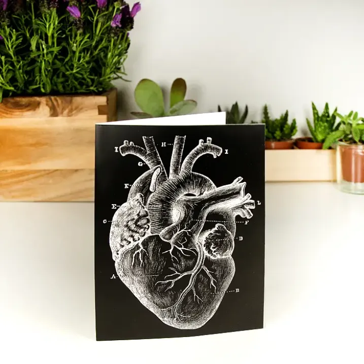 Tarjeta de felicitación con un corazón anatómico