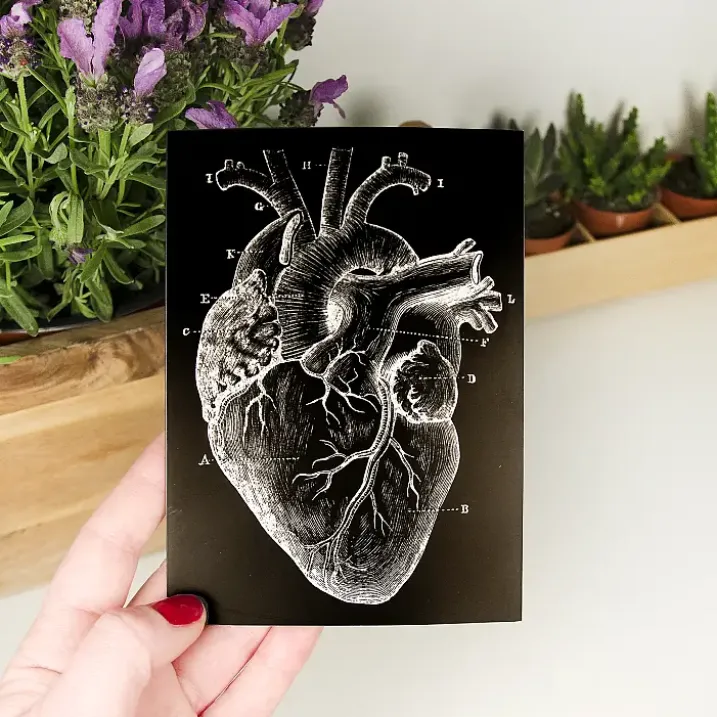 Tarjeta de felicitación con un corazón anatómico