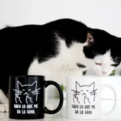 Taza con gato macarra