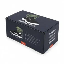 Walking Plant: maceta original en forma de zapatilla