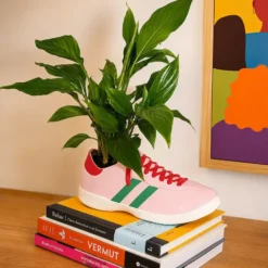 Walking Plant: maceta original en forma de zapatilla