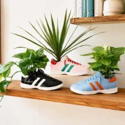 Walking Plant: maceta original en forma de zapatilla